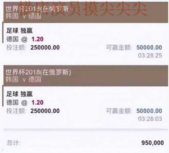 世界杯官方信息期间热门世界杯投注平台推荐推荐与直播入口分析 世界杯官方信息期间热门世界杯投注平台推荐推荐与直播入口分析